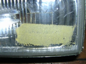 Xg[g}WbN/STREET MAGIC/ TR50S/ Xg}W    wbhCg CA1LB