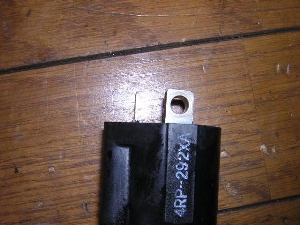 x[K50/ BELUGA  COjbVvOR[h 5G6-3131