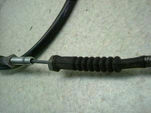 Z[225/ SEROW225 Nb`C[ 1KH-0286