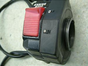 Z[225/ SEROW225 nhXCb`E 1KH-0286