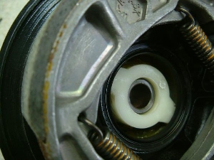 `Cm/ choinori  tgu[Lh CZ41A-1532