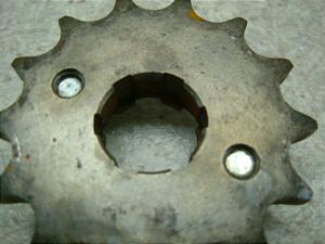 CD90 hCuXvPbg CD90-1211