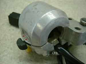 XJbV50/ SQUASH  nhXCb` AB11-1002