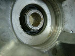 XeB[h400/ STEED  huXvPbgnu NC26-1212