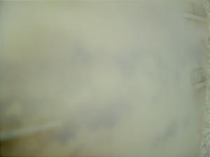 t[EFC250/ FREEWAY U[o[^N MF01-1005