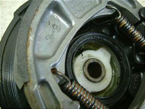 `Cm/ choinori  tgu[Lh CZ41A-1052