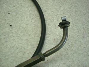 `Cm/ choinori  ANZC[ CZ41A-1052
