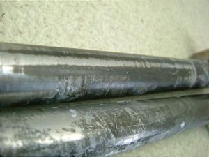 MO50/ GAG  Zp[gnhE LA41A-1185