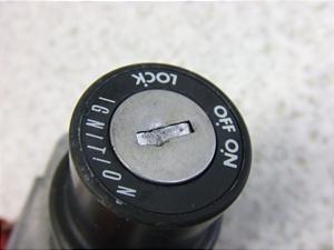 W[250/ ZEAL  L[Zbg 3YX-0486
