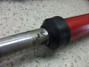Cu50/ eve  tgtH[N AF06-1179
