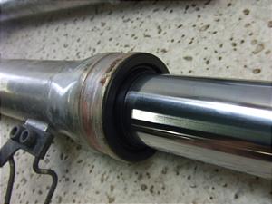 Z[225/ SEROW225 tgtH[NE 1KH-0302