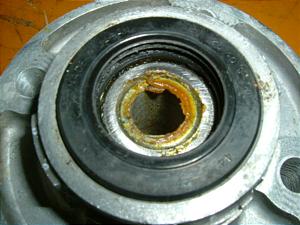 G|/ EPO AzC[nu PV50-1125