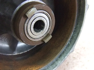 oo50/ VanVan50  tgzC[nu RV50