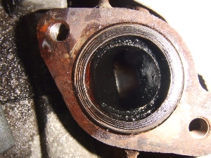 XJbV(6V)/SQUASH  GWE WN  AB11-1013