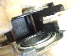 RG250K}(EH^[Et)/ K}250/ 250/ WalterWolf   ALp[ GJ21B-1082
