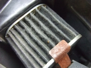 XS250 GAN[i[BOX 17E-1012