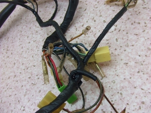 nX[50(6V)/ HUSTLER/ TS50  Cn[lX TS503-1198