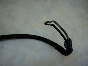 x[K80/ BELUGA  XeJo[ 5G3-1050