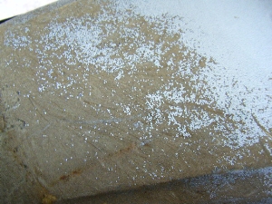 TA50/ Salient    tgJo[ 14T-0612