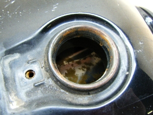 SR125(12V) K\^N 4WP-0003