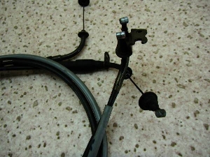 r[m50/ Vino  ANZC[2{