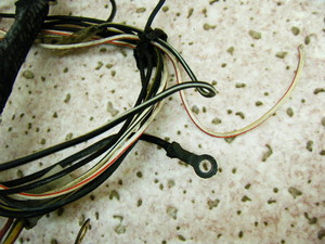 ANeBu50/ ACTIVE Cn[lX 35R-5413