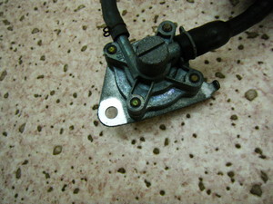 PROgsbN/ gsbN50/ TOPIC  50 RbN AF38-1006