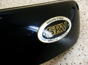 SRV250 TChJo[E 4DN-0397