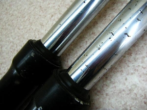 xNX^[150/Vecstar/ FNX^[ tgtH[NE CG41A-1009