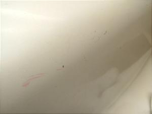 }WFXeB250/ MAJESTY V[gJE() 4HC-19-1-19