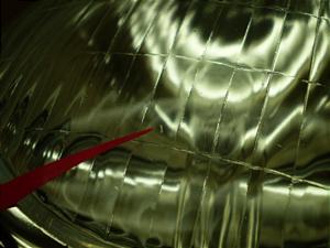 XJbV50/ SQUASH  wbhCg AB11-1040