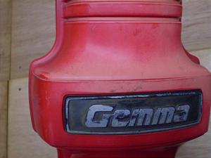 WF}50/ Gemma  gbvJo[ CS50