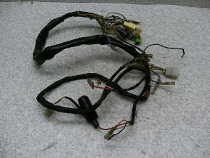 nX[50(6V)/ HUSTLER/ TS50  Cn[lX TS503-1173