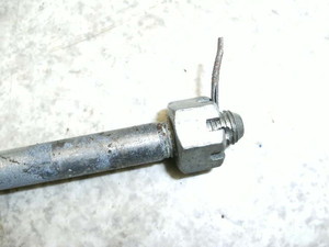 o[fB[50(6V)/ Birdie tgANXVtg FR50-3571