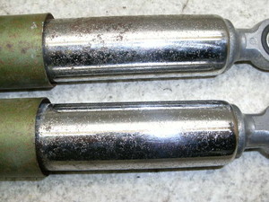 o[fB[50(6V)/ Birdie ATXyV FR50-3571