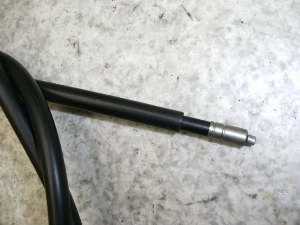 `Cm/ choinori  `[NC[ CZ41A-1959