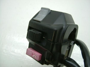 }WFXeB250/ MAJESTY nhXCb` 4HC-0299