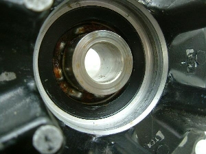 NS250R huXvPbg MC11-1018