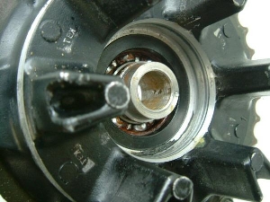 NS250F huXvPbg MC11
