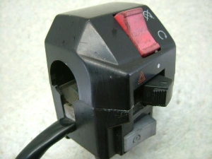 }WFXeB250/ MAJESTY nhXCb`E 4HC-0234