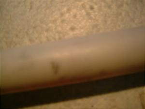 Z[225/ SEROW225 ANZXbgObv 1KH-0239