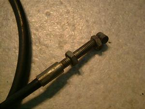 Z[225/ SEROW225 ANZC[ 1KH-0239