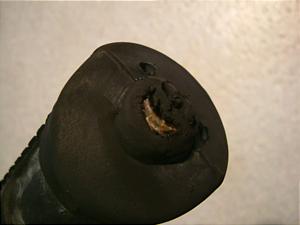 CD90 CXebv HA03-1012