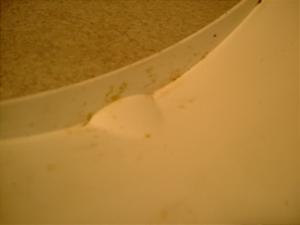 WCLms[/ GYRO Canopy  tgCi[Jo[ TA02-1004