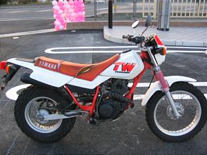 BY6972 YAMAHA/ヤマハ TW200 2JL-0028