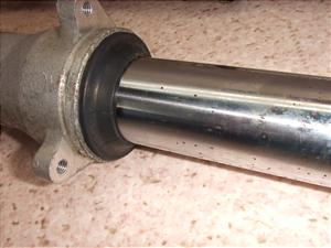 TLR200 tgtH[NE MD09-1011