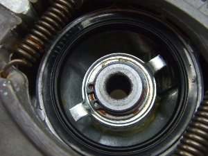 `bs[50/ `bsB50 (6V)/ CHAPPY  tgu[Lh 439-7228