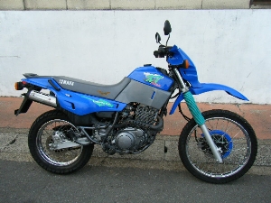 YAMAHA/}n XT400AeVA/XT400 ARTESIA@4DW-0924