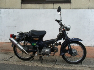 HONDA/z_ X[p[JuDX50/CUB50DX C50-0857