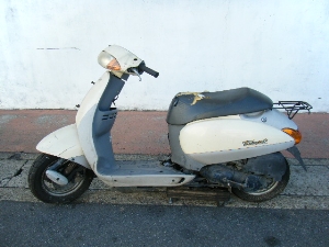 HONDA/z_ ^Ng/TACT50@AF51